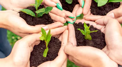 Sustainability Strategy