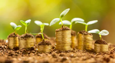 Sustainability Strategy